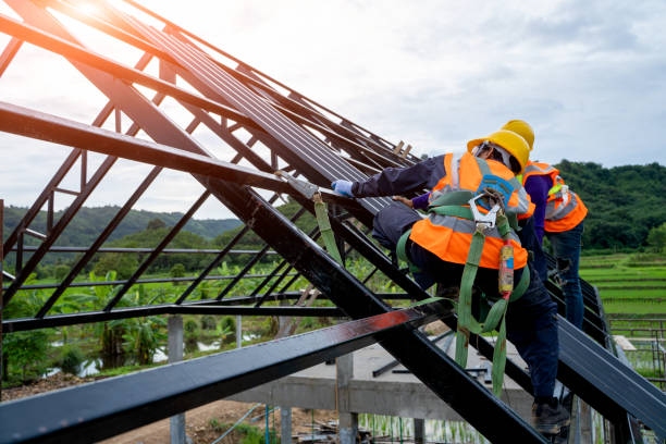 Best New Roof Installation  in Annandale, MN