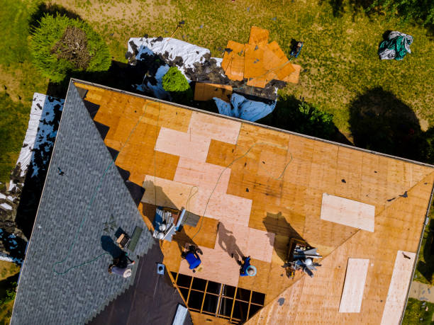 Best Roof Gutter Cleaning  in Annandale, MN