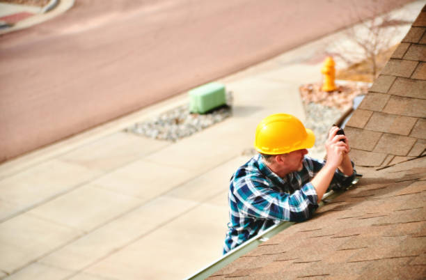 Best Roof Leak Repair  in Annandale, MN