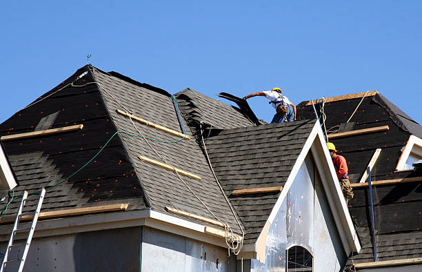 Roof Gutter Cleaning in Annandale, MN