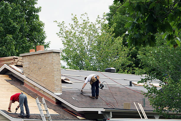 Best Storm Damage Roof Repair  in Annandale, MN