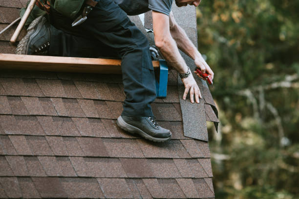 Best Residential Roofing Contractor  in Annandale, MN